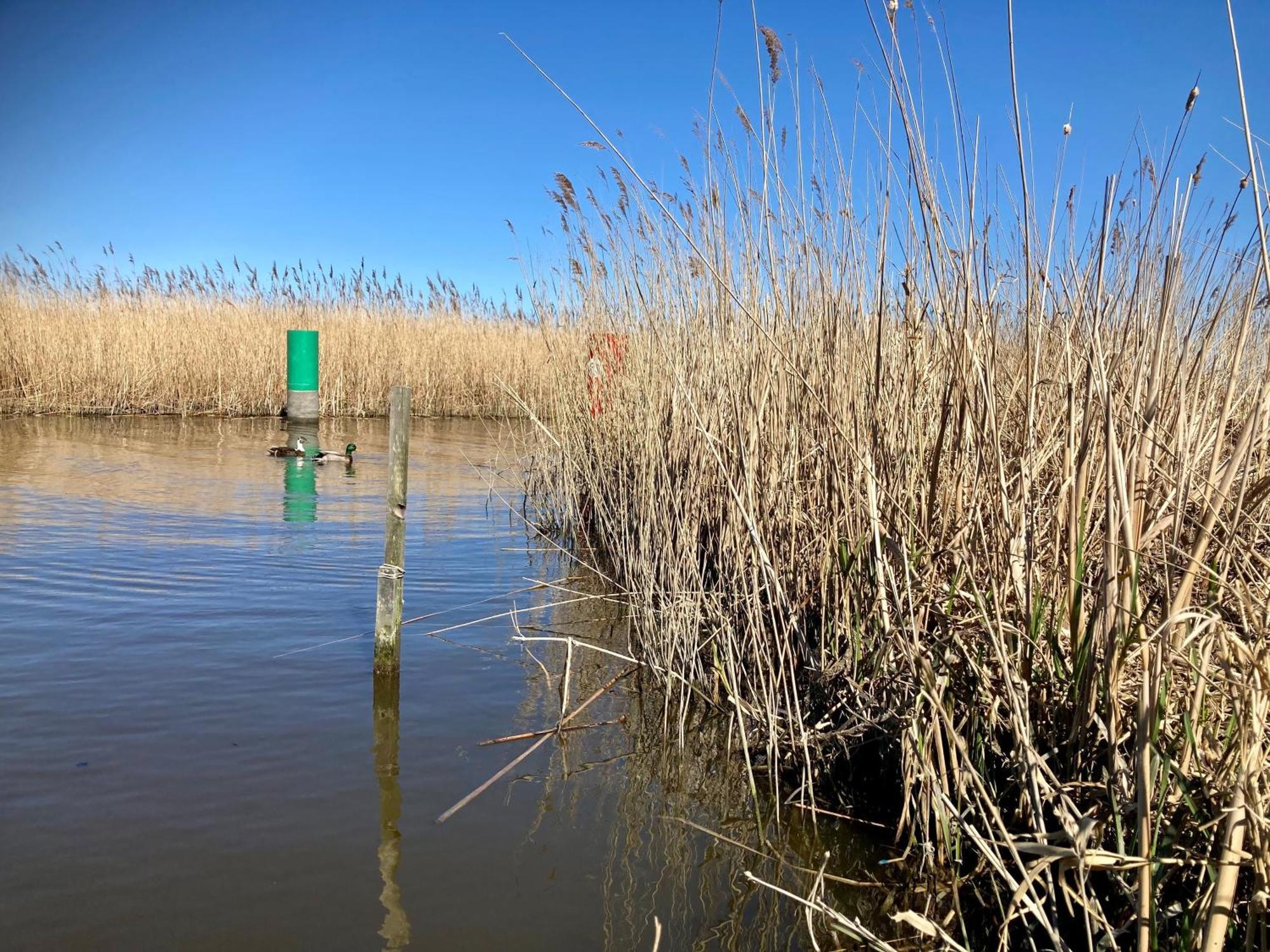 House Marijke With Winter Garden And Direct Access To The Lauwersmeer Anjum 外观 照片