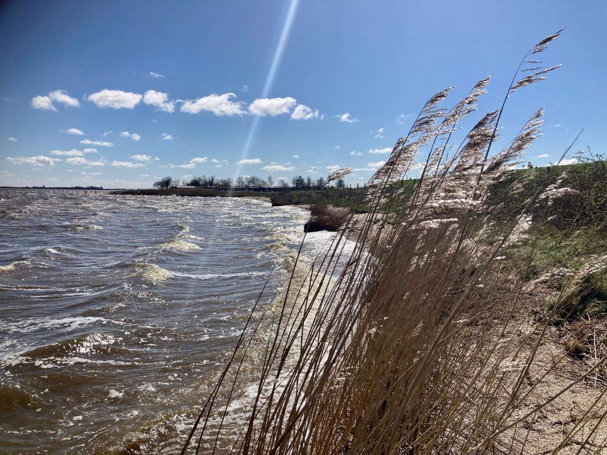 House Marijke With Winter Garden And Direct Access To The Lauwersmeer Anjum 外观 照片